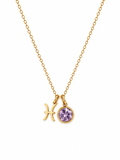 Zodiac Sign Necklase