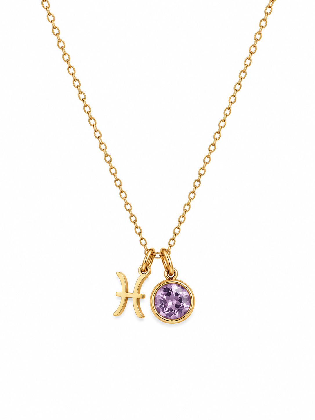 Zodiac Sign Necklase