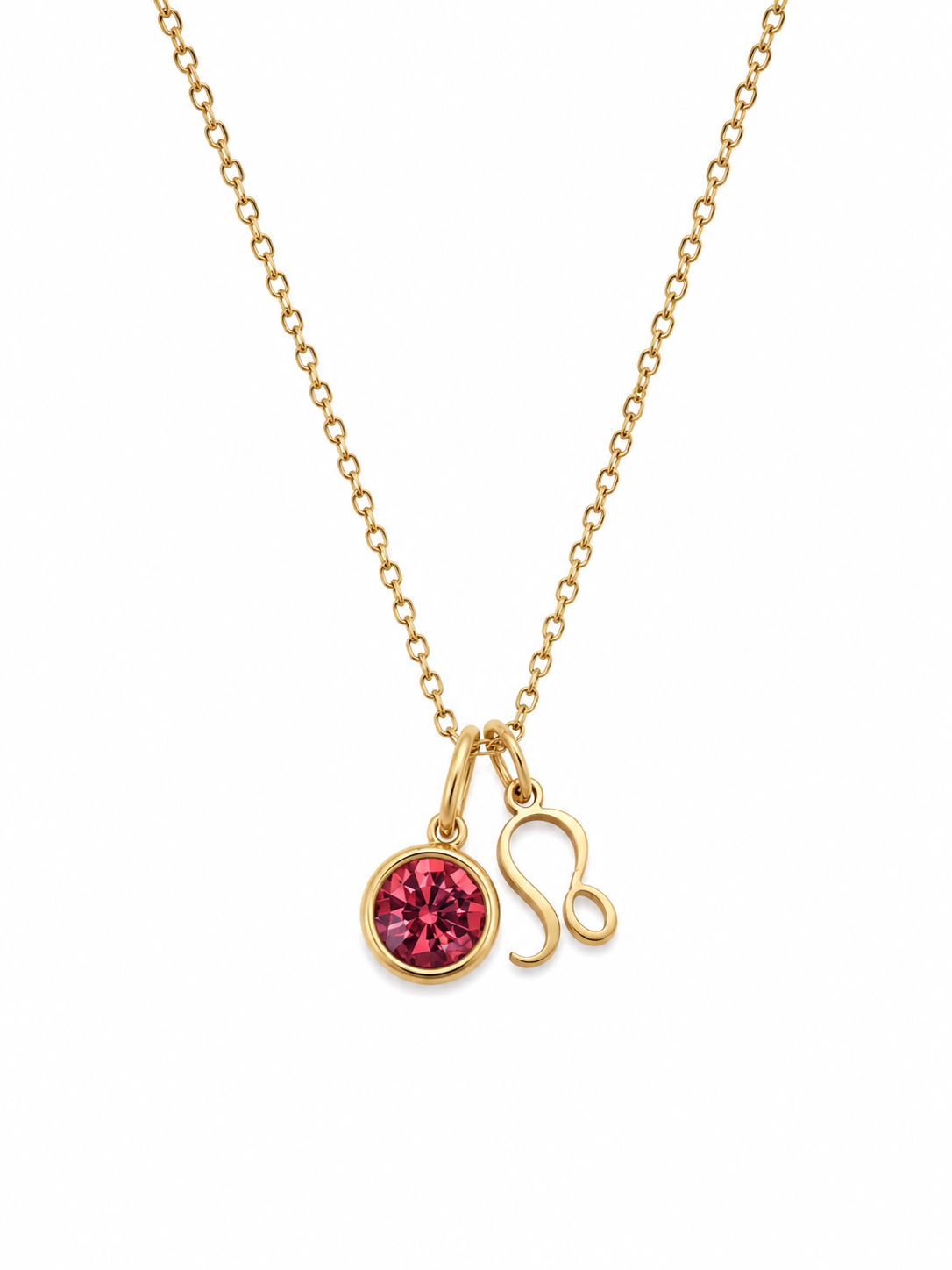 Zodiac Sign Necklase
